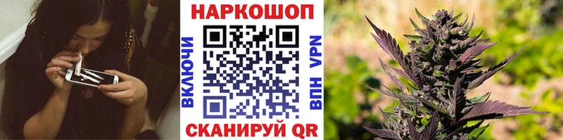 Цена Сосновоборск ГАШИШ  Амфетамин  Альфа ПВП  Галлюциногенные грибы  Каннабис  Меф мяу мяу 