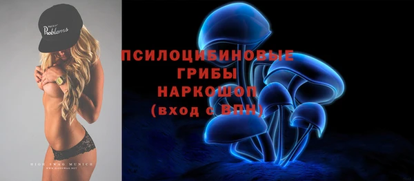 дмт Армянск