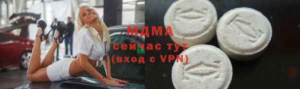 хмурый Арсеньев