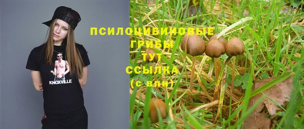 метадон Аркадак