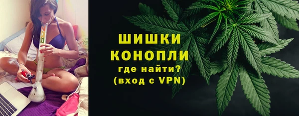 хмурый Арсеньев