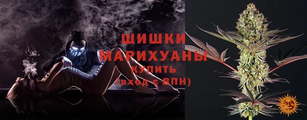 хмурый Арсеньев