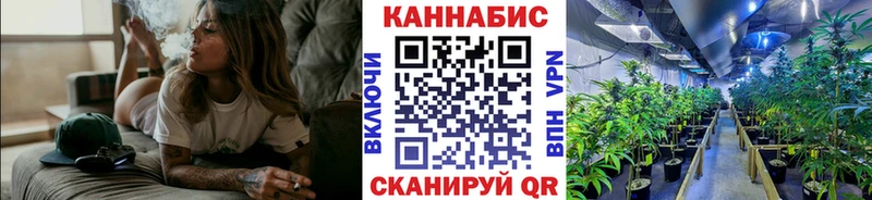 дарнет шоп  Сосновоборск  Шишки марихуана ГИДРОПОН 